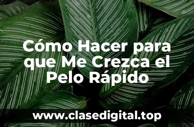 Cómo Hacer para que Me Crezca el Pelo Rápido