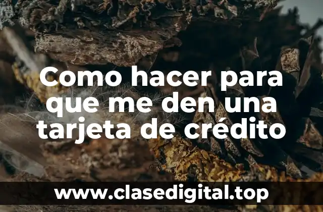 Como hacer para que me den una tarjeta de crédito
