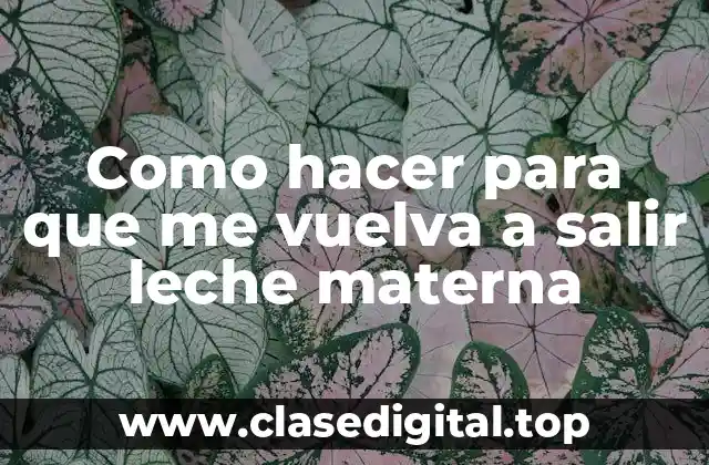 Como hacer para que me vuelva a salir leche materna