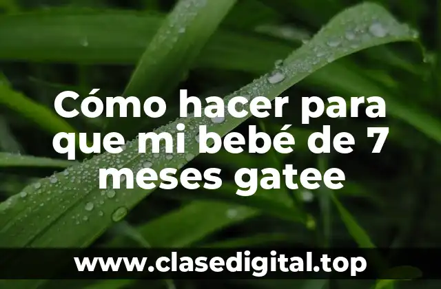 Cómo hacer para que mi bebé de 7 meses gatee