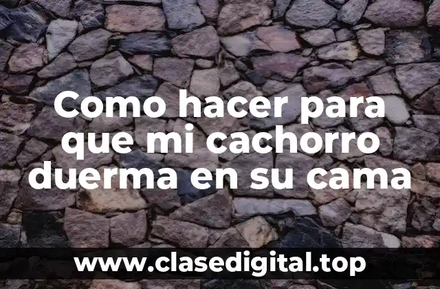 Como hacer para que mi cachorro duerma en su cama