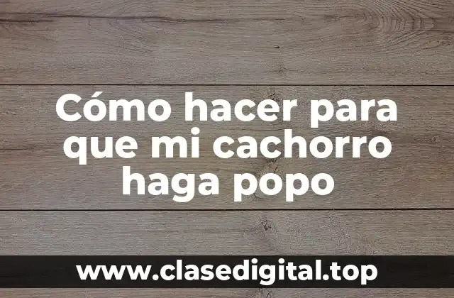 Cómo hacer para que mi cachorro haga popo