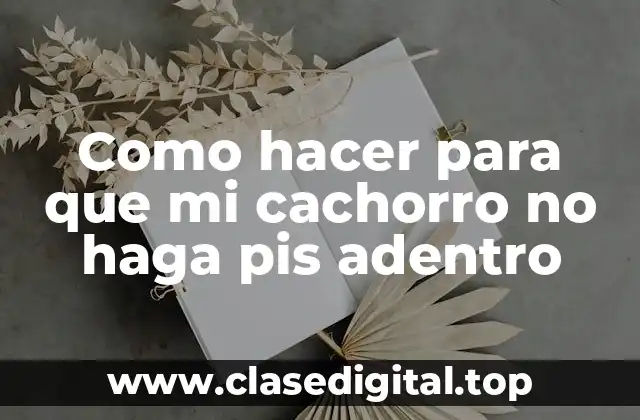 Como hacer para que mi cachorro no haga pis adentro