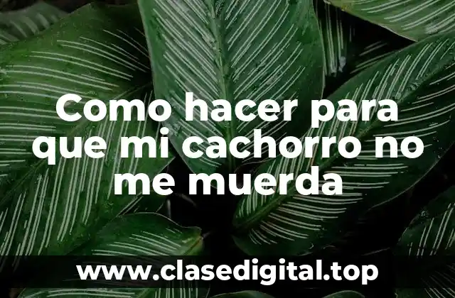 Como hacer para que mi cachorro no me muerda