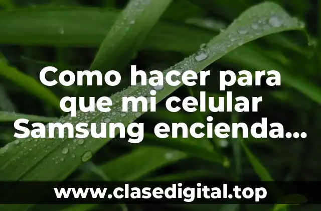 Como hacer para que mi celular Samsung encienda internet