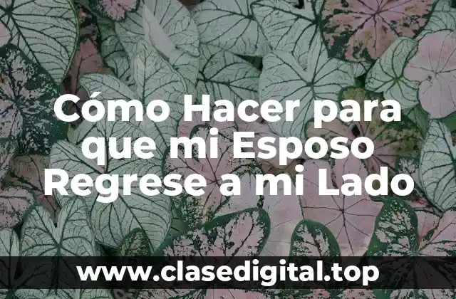 Cómo Hacer para que mi Esposo Regrese a mi Lado