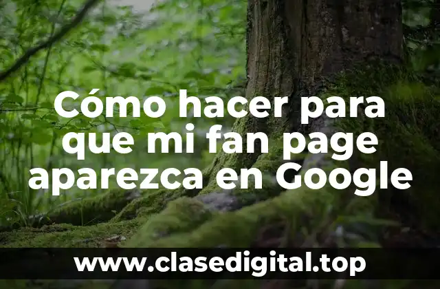 Cómo hacer para que mi fan page aparezca en Google