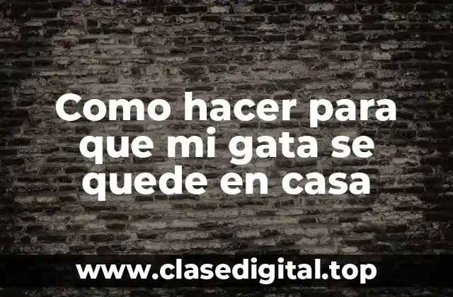 Como hacer para que mi gata se quede en casa