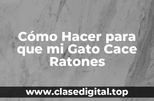 Cómo Hacer para que mi Gato Cace Ratones