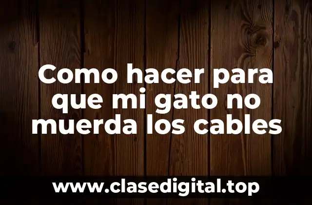 Como hacer para que mi gato no muerda los cables