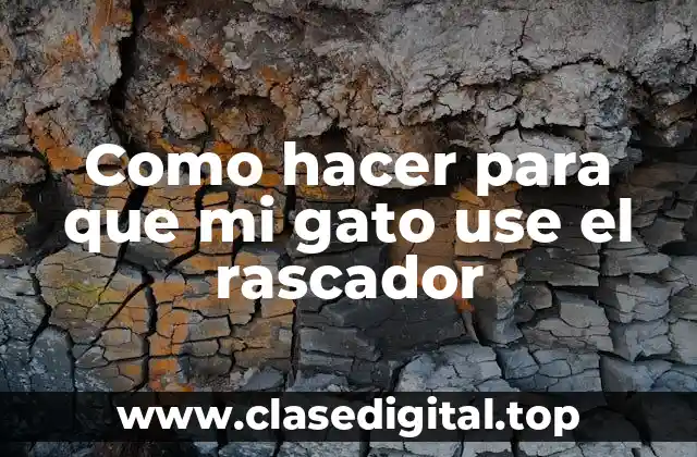 Como hacer para que mi gato use el rascador