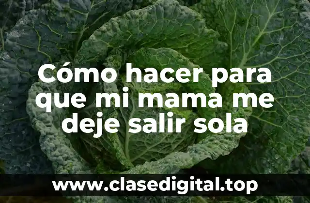 Cómo hacer para que mi mama me deje salir sola