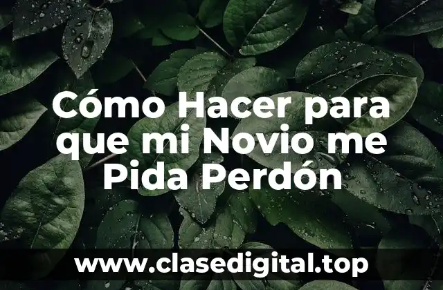 Cómo Hacer para que mi Novio me Pida Perdón