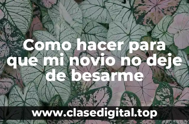 Como hacer para que mi novio no deje de besarme