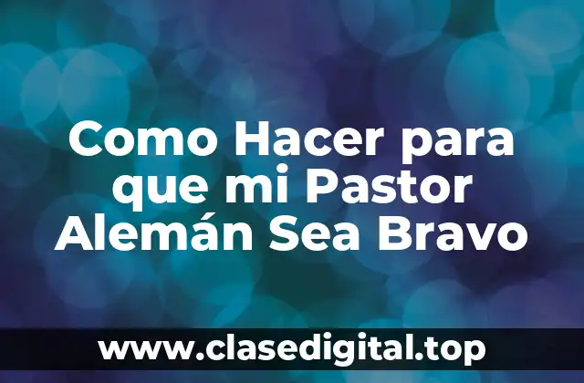 Como Hacer para que mi Pastor Alemán Sea Bravo