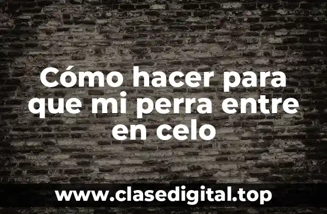 Cómo hacer para que mi perra entre en celo