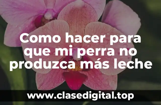 Como hacer para que mi perra no produzca más leche