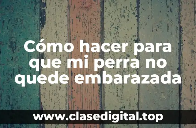 Cómo hacer para que mi perra no quede embarazada