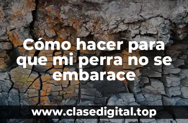 ¿Qué es la prevención del embarazo en perros y por qué es importante?