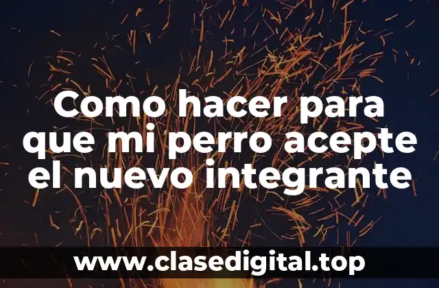 Como hacer para que mi perro acepte el nuevo integrante