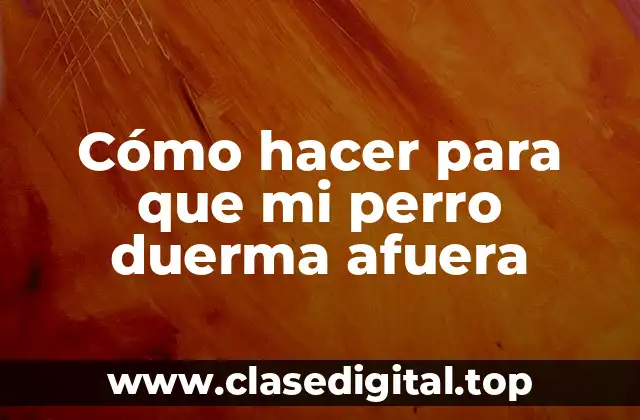 Cómo hacer para que mi perro duerma afuera