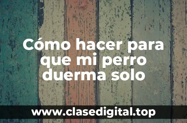 Cómo hacer para que mi perro duerma solo
