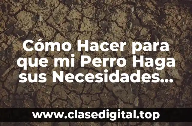 Cómo Hacer para que mi Perro Haga sus Necesidades Afuera