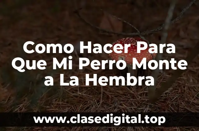 Como Hacer Para Que Mi Perro Monte a La Hembra
