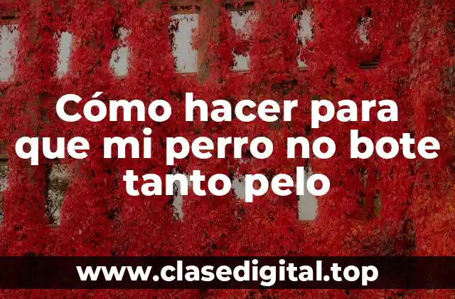 Cómo hacer para que mi perro no bote tanto pelo