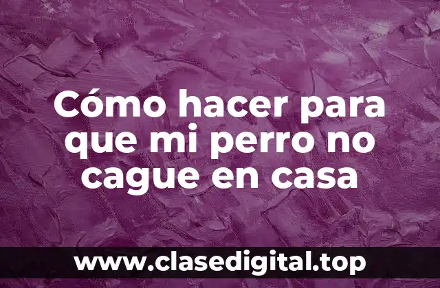 Entrenamiento para que tu perro no haga sus necesidades en casa