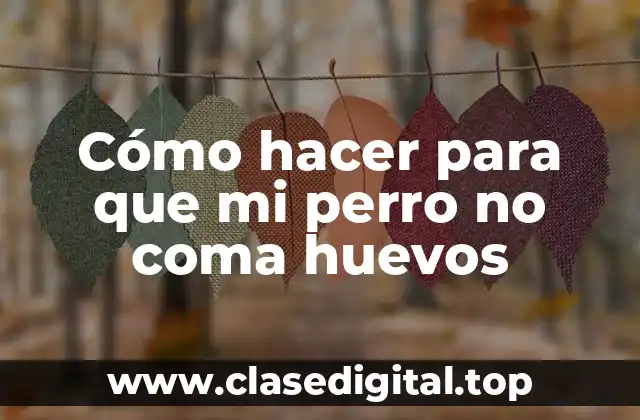 Cómo hacer para que mi perro no coma huevos