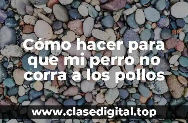 Cómo hacer para que mi perro no corra a los pollos