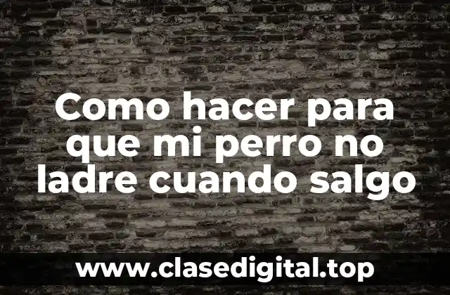 Como hacer para que mi perro no ladre cuando salgo