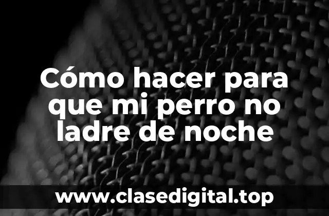 Cómo hacer para que mi perro no ladre de noche