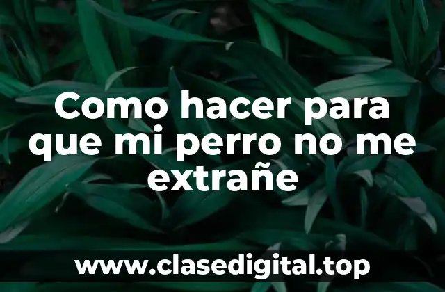 Como hacer para que mi perro no me extrañe