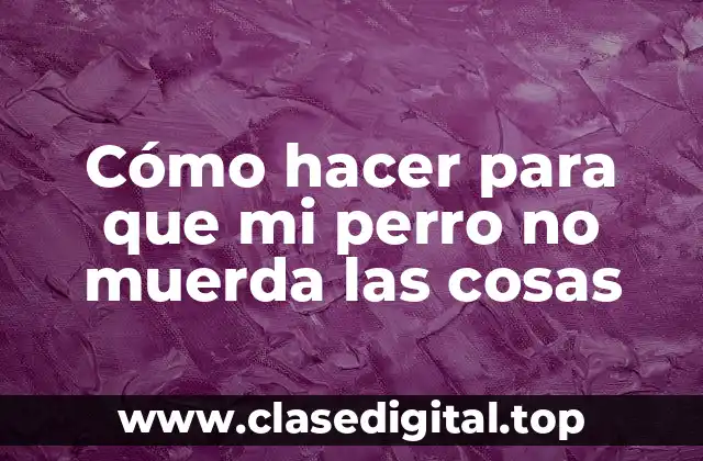 Cómo hacer para que mi perro no muerda las cosas