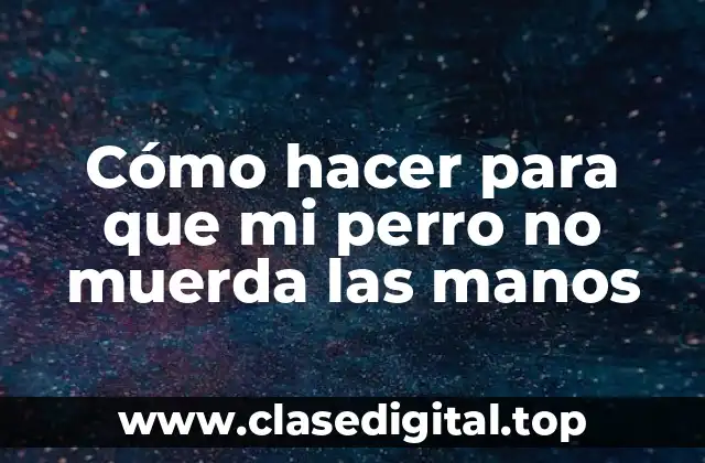 Cómo hacer para que mi perro no muerda las manos