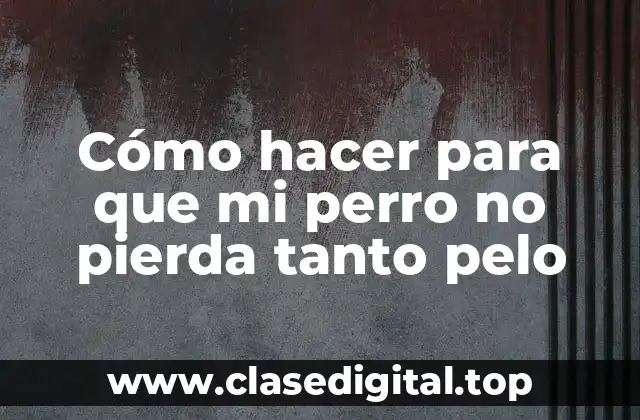 ¿Qué es la caída del pelo en perros y por qué ocurre?