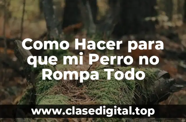 Entrenamiento para Perros: ¿Qué es y Cómo Funciona?