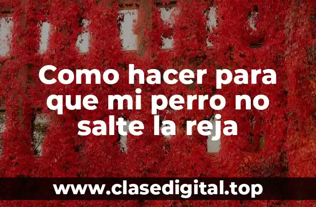 Como hacer para que mi perro no salte la reja