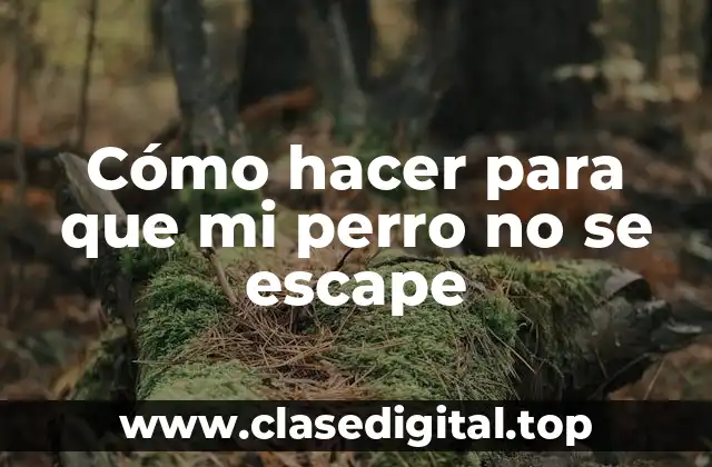 Cómo hacer para que mi perro no se escape
