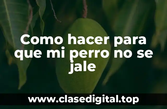 Como hacer para que mi perro no se jale