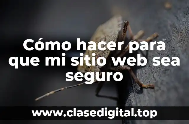 Cómo hacer para que mi sitio web sea seguro