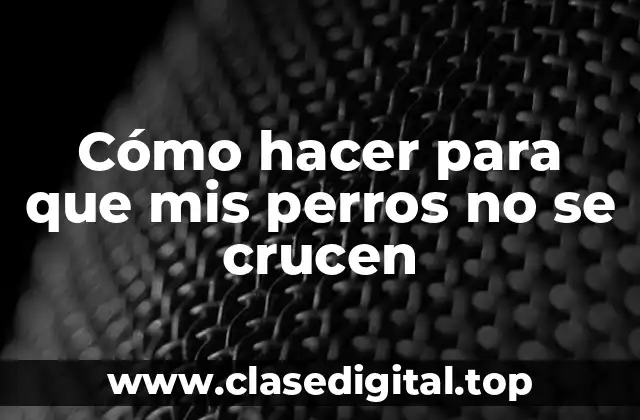 Cómo hacer para que mis perros no se crucen