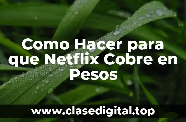 Configurar el Pago en Pesos en Netflix