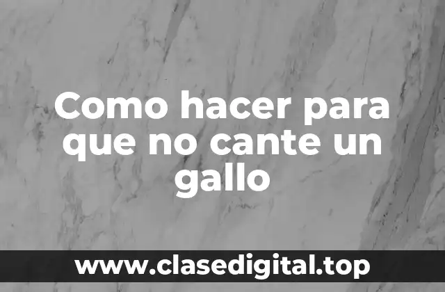 ¿Qué es un gallo y por qué canta?