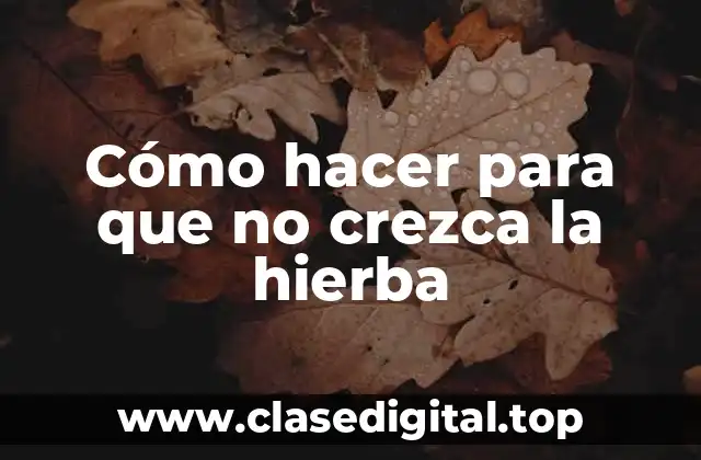 Cómo hacer para que no crezca la hierba