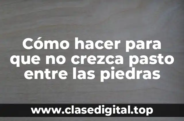 Cómo hacer para que no crezca pasto entre las piedras