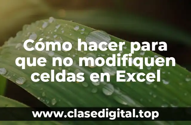 Cómo hacer para que no modifiquen celdas en Excel