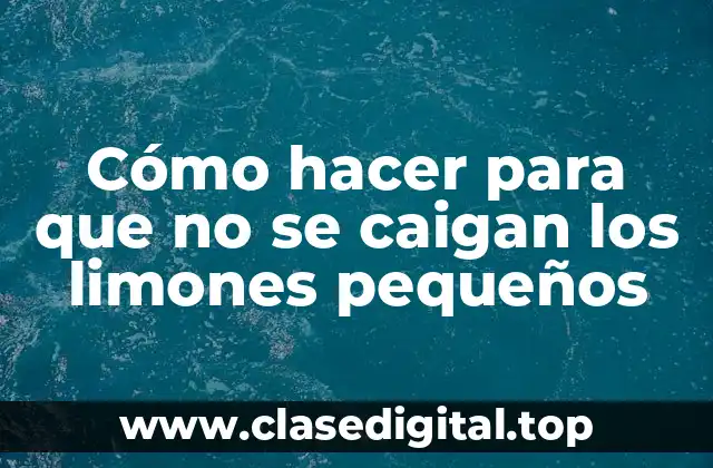 Cómo hacer para que no se caigan los limones pequeños